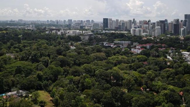 From survivable to liveable: The making of a green city
