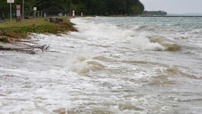 Climate change, S&rsquo;pore&rsquo;s adaptation strategy cannot wait for geopolitics to stabilise