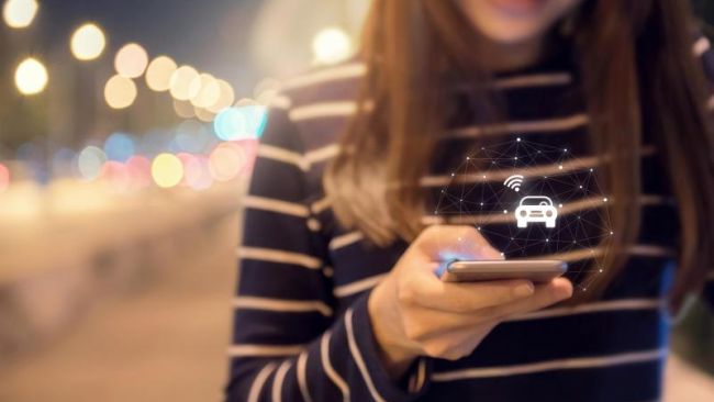 Blue Bird takes flight – how Indonesia’s top mobility provider uses digitalisation and promotes sustainable growth in the post-COVID era
