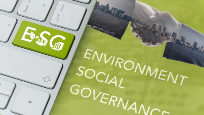 Advancing Sustainability: SMU Accounting Professors Earn Prestigious Recognition for ESG Research