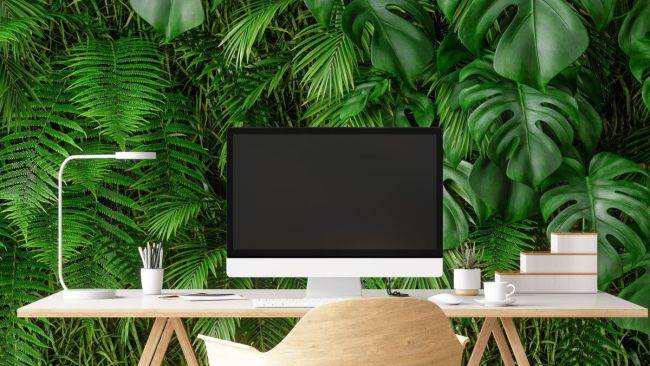 How To Be More Environmentally Sustainable When Working From Home