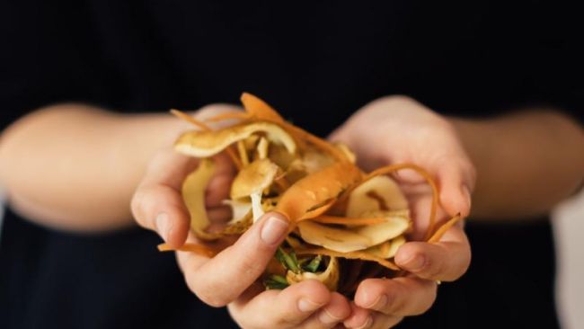 From Trash to Treasure – How Ento Industries Developed a Growing Sustainable Food Waste Management Business with Black Soldier Flies