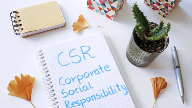 Saintly moves: Why companies use corporate social responsibility as a halo strategy