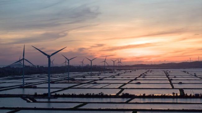 Raising the Ambition: How Transition Finance Can Propel Businesses Forward