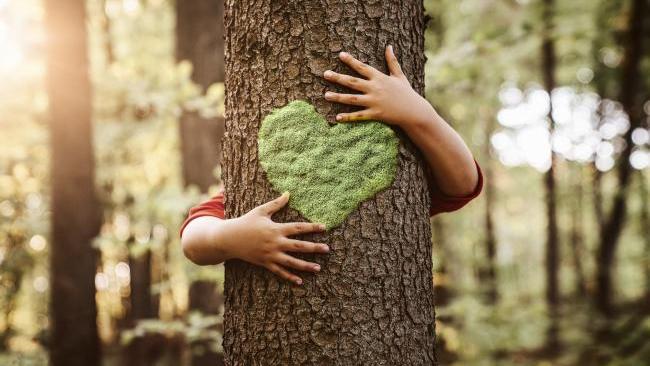 Corporate Sustainability – For love or beyond?