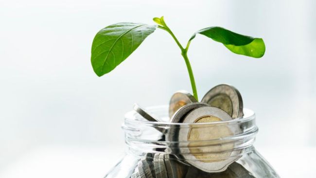 Why rewarding sustainable behaviour with money is a bad idea